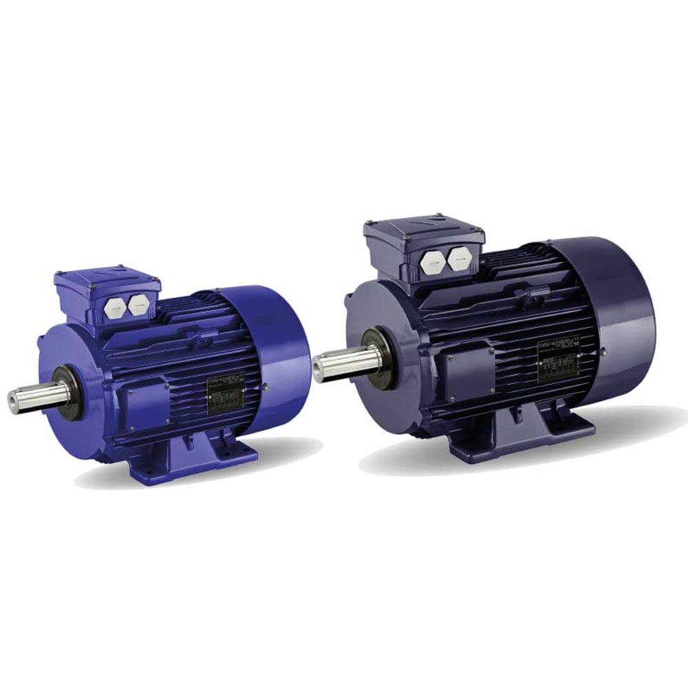 Heavy Duty Electric Motor